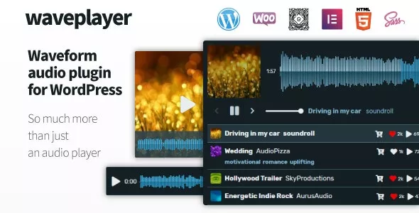 WavePlayer v3.6.4 - Waveform Audio Player for WordPress and WooCommerce
