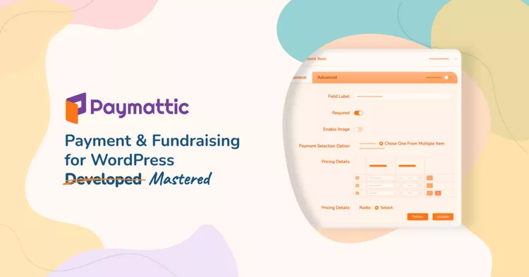 Paymattic Pro v4.5.0 - WordPress Payments and Donations Made Simple