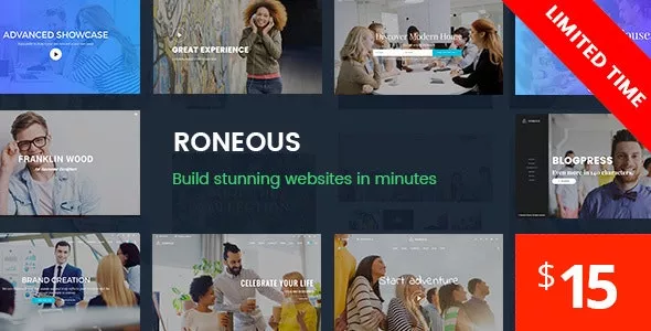 Roneous v2.0.6 - Creative Multi-Purpose WordPress Theme