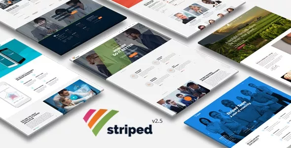 Striped v2.5 - Multipurpose Business and Corporate Theme