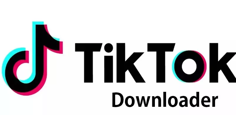 TikTok Downloader 3.3.5 Portable