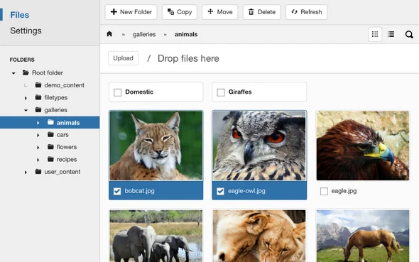 FILEman - Joomla Advanced Media Manager